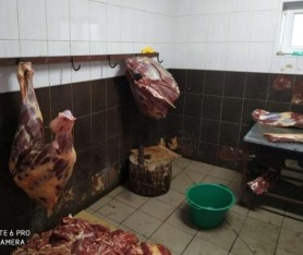 FOTO/VIDEO: Un bărbat din Fălești, amendat anterior de nenumărate ori, sacrifica bovine în condiții antisanitare